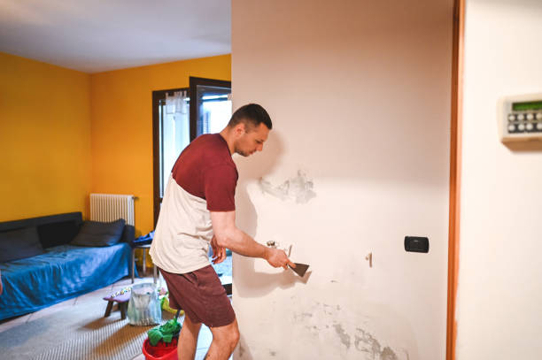 Best Mold Damage Repair  in Tice, FL