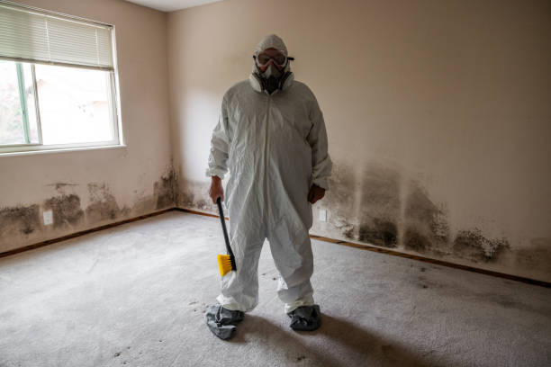 Best Attic Mold Removal  in Tice, FL